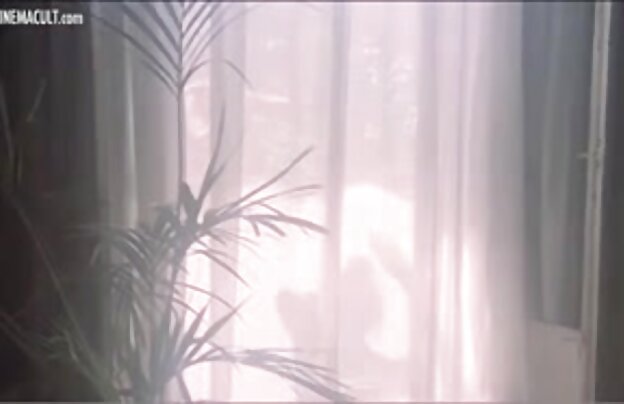 XXX مشروب عكس سكسى كس قاچاق