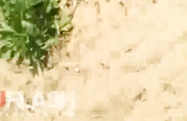XXX زیبایی دباغی 18 ساله به طور سکس عکس کس خودخواهانه بیدمشک او را نوازش می کند