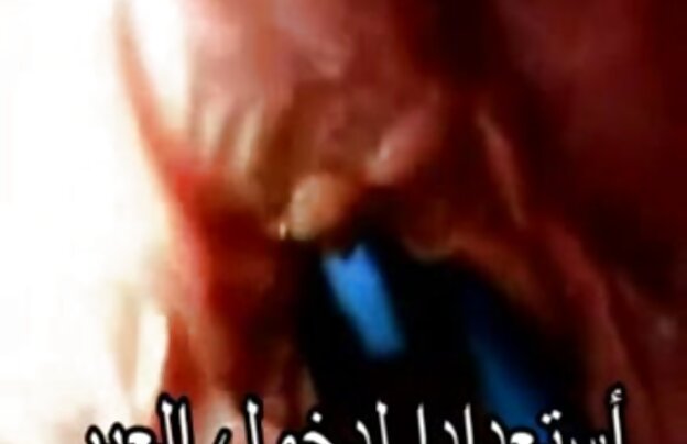XXX زیبایی سکسی در جوراب عکس سکسی متحرک کوس